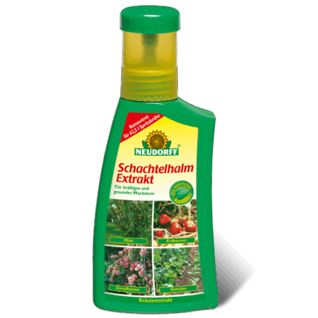 Flasche Neudorff Schachtelhalm Extrakt 250 ml, ein natürliches Konzentrat zur Pflanzenstärkung und Pilzschutz für Kakteen und Aussaaten.
