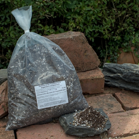 Ein 5-Liter-Beutel Trichocereus Spezial-Substrat für San Pedro Kakteen, mit einer Probe der Erde auf einem Stein – Lophophora Shop.