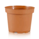 Stabiler TEKU Anzuchttopf (5,5 cm) in Terrakotta-Optik für Lophophora Sämlinge.