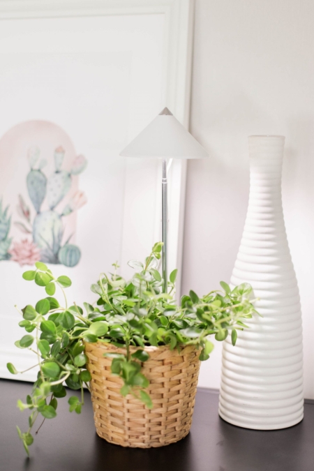 LED-Pflanzenlampe