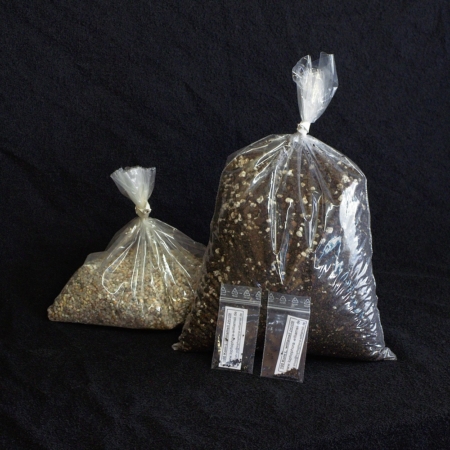 Lophophora williamsii Aussaat-Set: 200 Samen, 2 L Aussaatsubstrat und Abdeckkies in transparenten Beuteln auf schwarzem Hintergrund.