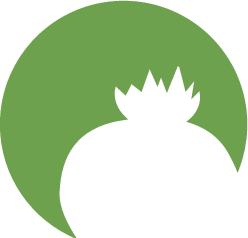 Kakteenshop Lophophora