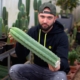 Mann hält einen 50cm San Pedro Steckling (Trichocereus pachanoi)
