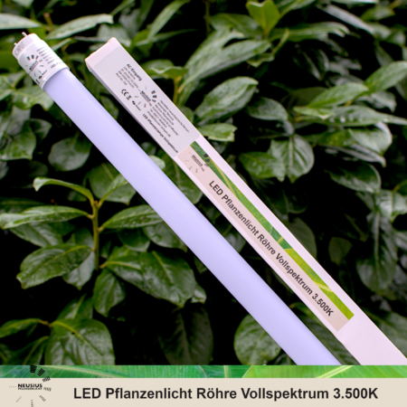 Neusius T8 LED Pflanzenlicht Röhre mit Verpackung – 3500K Vollspektrum für Wohnräume