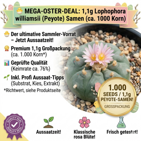 Mega-Oster-Deal für 1,1g Lophophora williamsii Peyote Samen ca. 1000 Korn im Kakteenshop Lophophora.